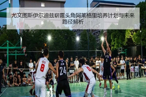 img_1781474803284_604_1_381.jpg